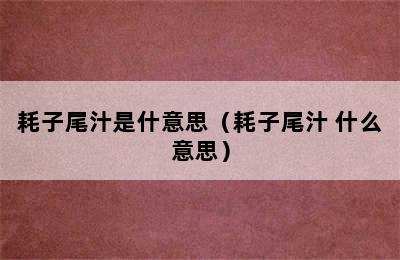 耗子尾汁是什意思（耗子尾汁 什么意思）